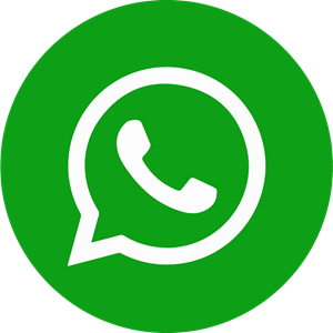 WhatsApp FLUXO